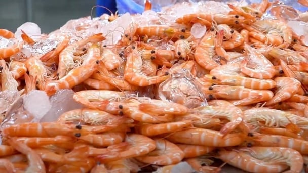 Vietnam taps into growing Australian demand for shrimp